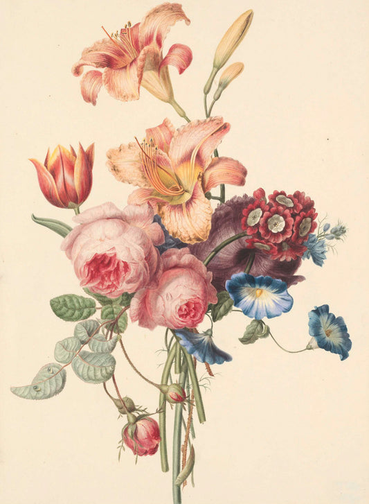 Soft watercolor botanical flower illustration in pink and white, suitable for nursery wall art